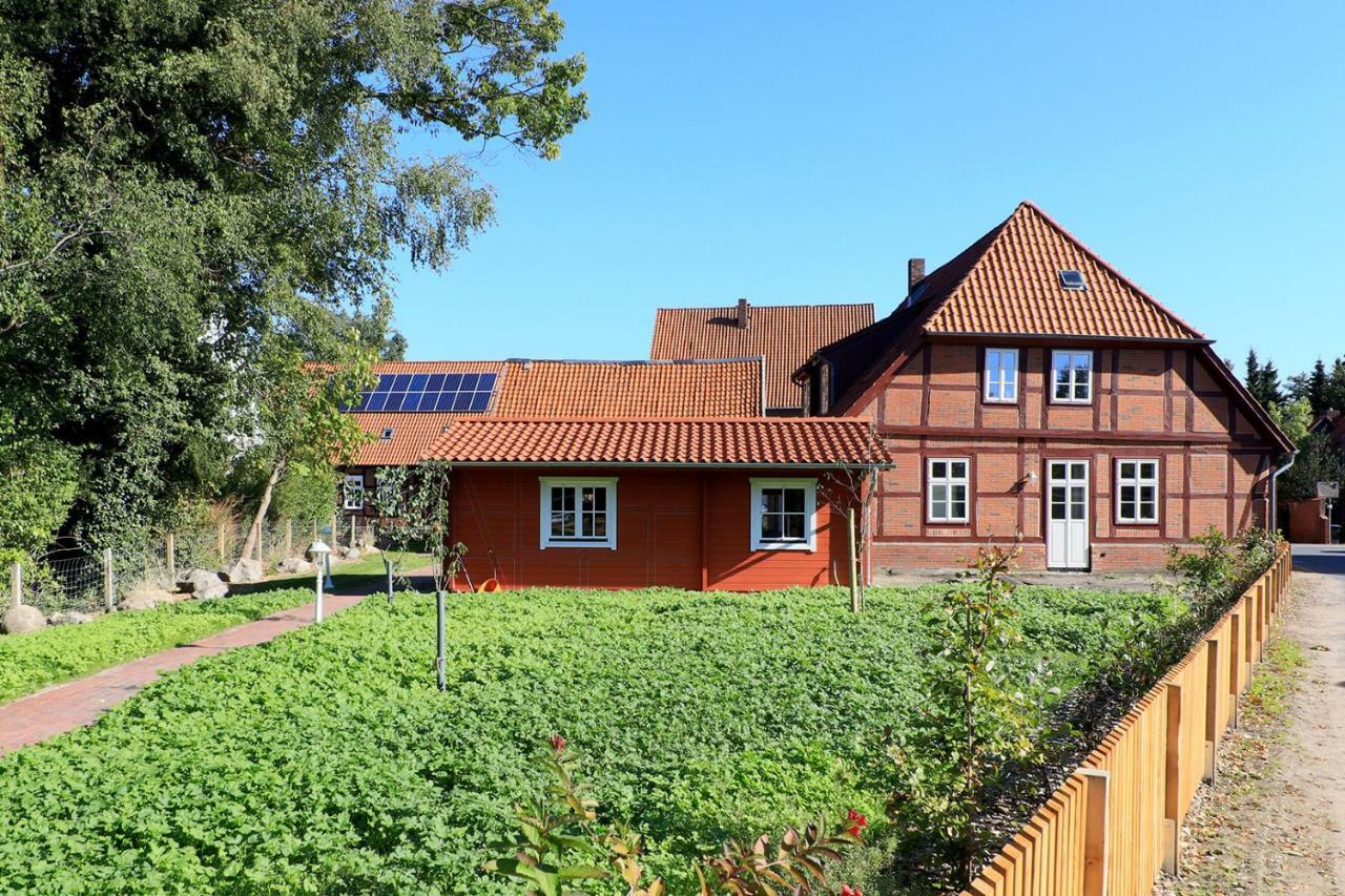 Alte Schmiede Bleckede Lejlighed Eksteriør billede